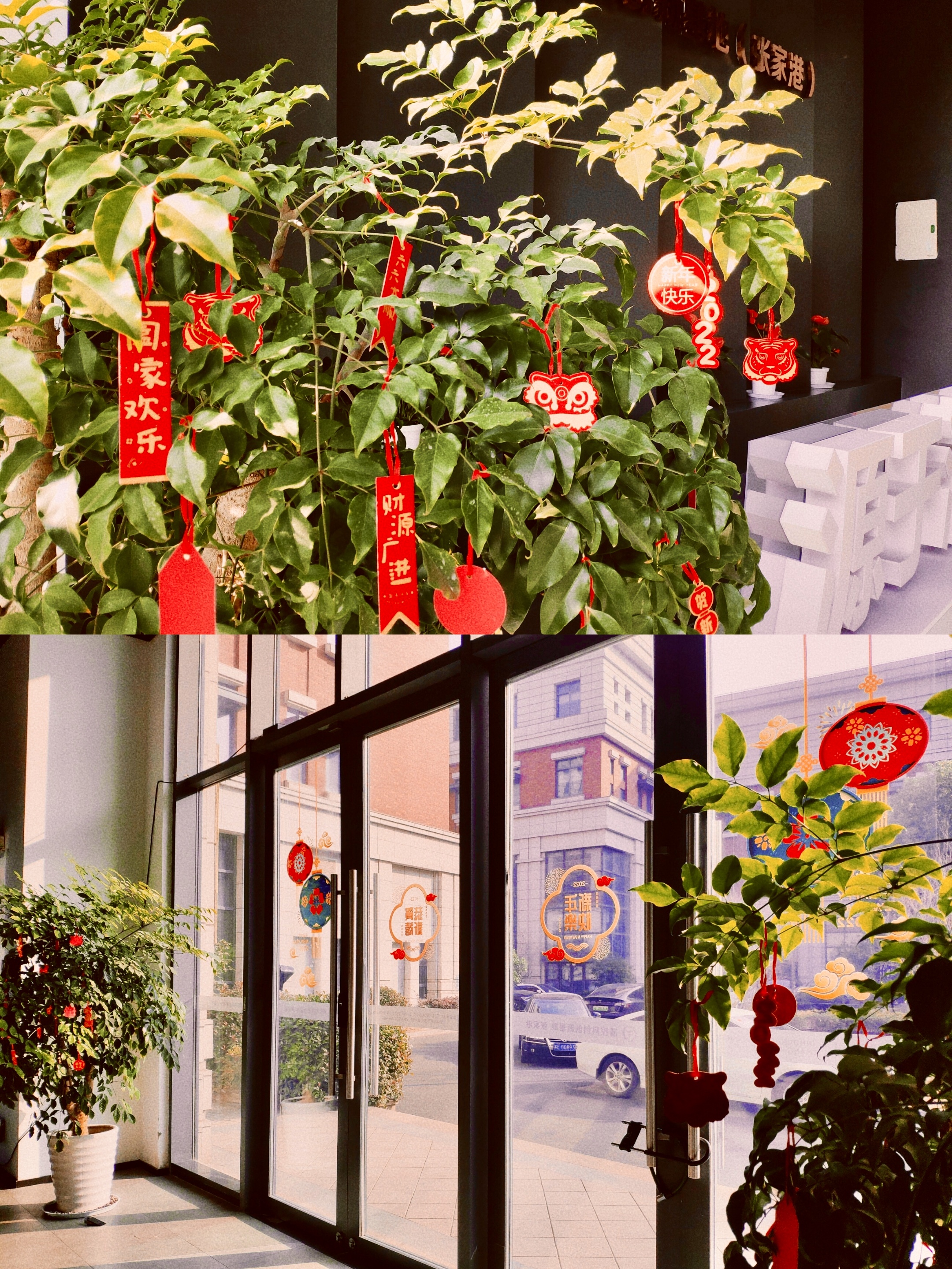 m&aacute;y l&oacute;t mũ